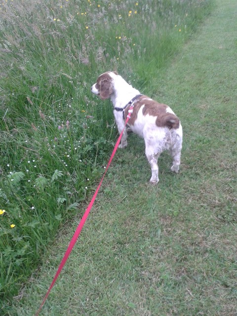 Johnduffswood Dog Boarding Kennels