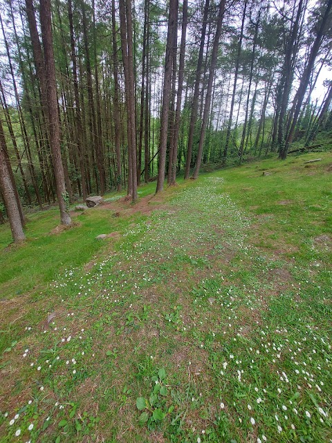 Canon Sheehan Loop (Glenanair Forest)