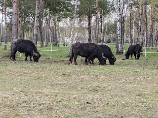 Zagroda Szczęśliwych Zwierząt