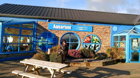 Dingle Oceanworld Aquarium