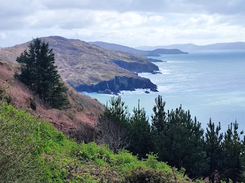 Dzogchen Beara Welcome Centre & Cafe