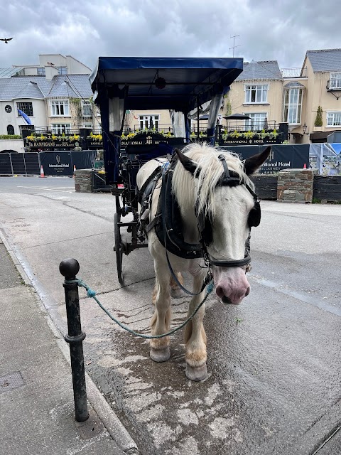 Killarney Jaunting Cars - Tangney Tours