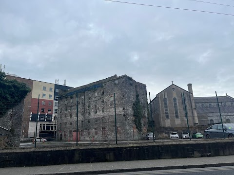 Limerick Opera site