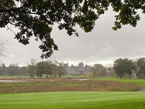 Fig Tree Restaurant at Dromoland Castle