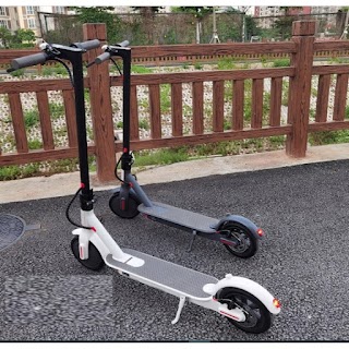 Electric Scooters Limited