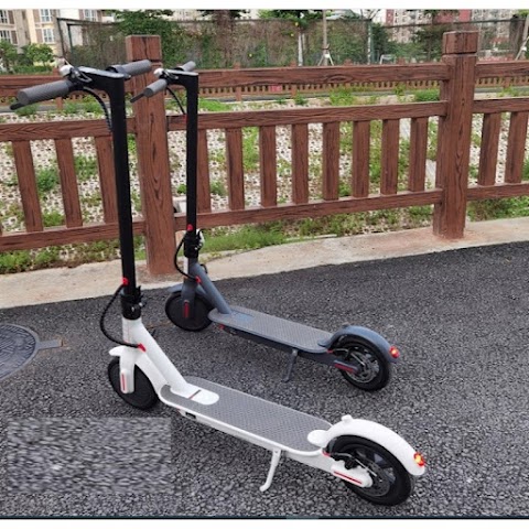 Electric Scooters Limited