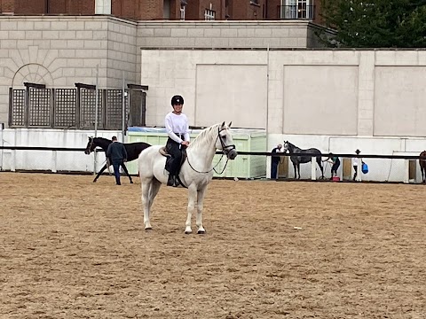 Diamonds Equine Renvyle - The Connemara Pony National Stud