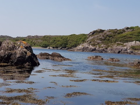 West Cork Sailing Centre / Wild Atlantic Wildlife / Kayak with the Seals