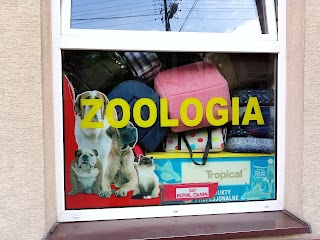 Sklep zoologiczny