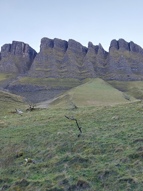 Benbulben Court