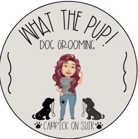 What the pup, Dog grooming- Carrick on Suir