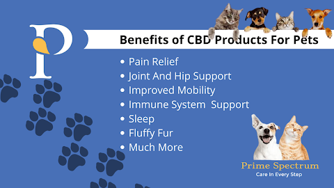 CBD Pet Products