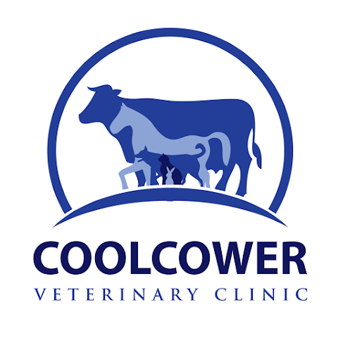 Macroom Veterinary Clinic Coolcower