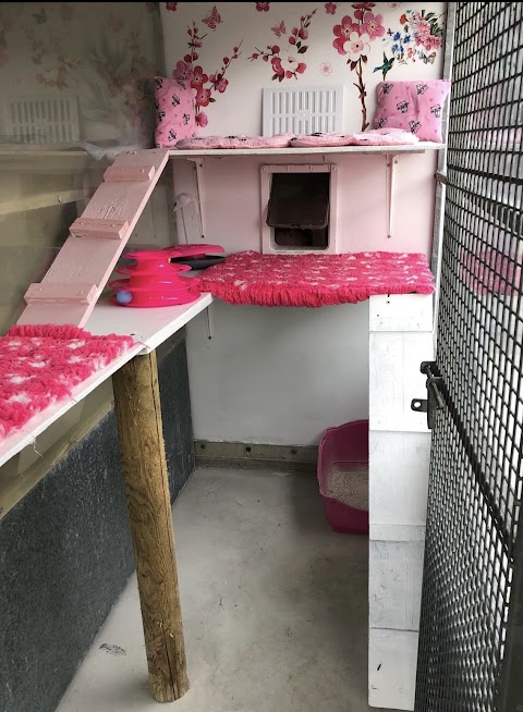 Rose’s Cat Hotel