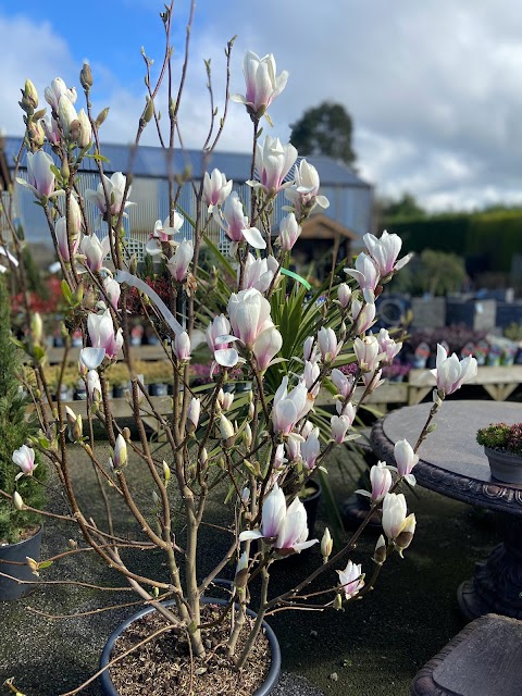 Easter Island Garden Centre