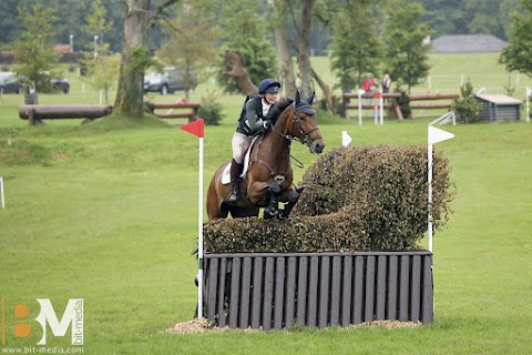 Sportsfield Horses