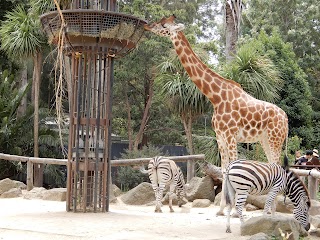 Melbourne Zoo