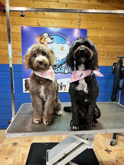 Hairy Babies - Professional Dog Grooming Parlour