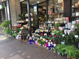 Waldon's Flower Shop