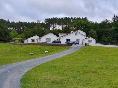 Muckross Riding Stables