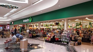 Woolworths Glen