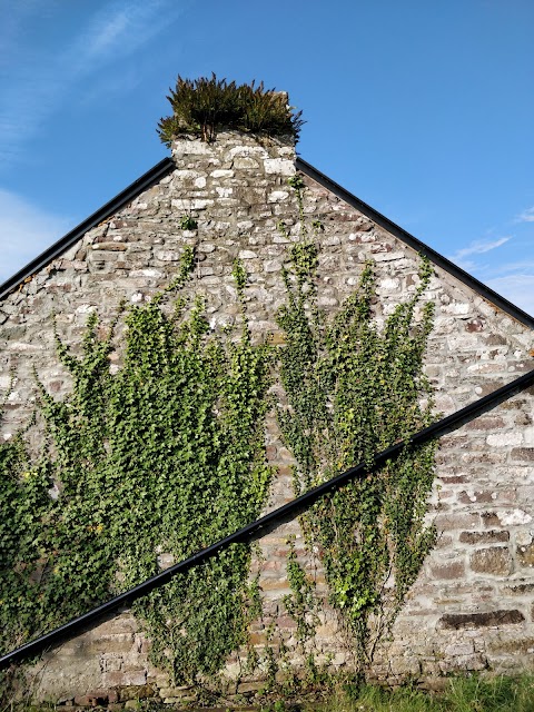 The Old Thatched Cottage