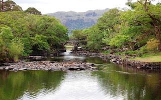 Muckross Lake Boat Tours