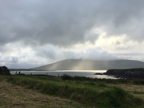 Sea Sanctuary Cottages