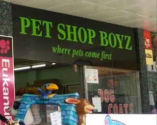 Pet Shop Boyz