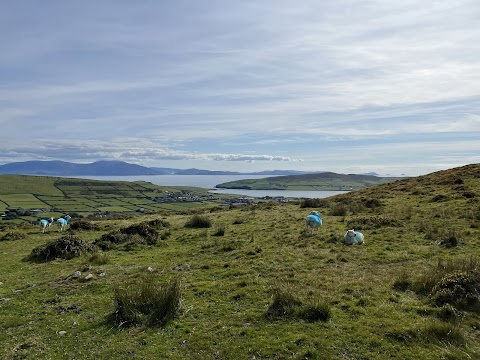 Dingle Horse Riding