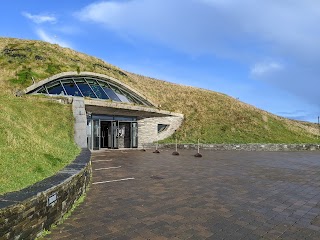 Cliffs of Moher Experience