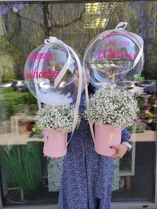 Kwiaciarnia online Motyli Raj - kwiaty, bukiety, flower box, roże z dostawą, balony z helem