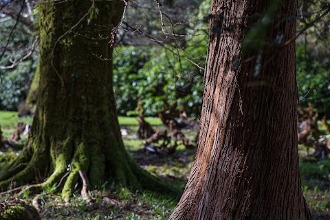 Muckross Garden Restaurant