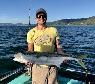 Cook Strait Fishing Charters