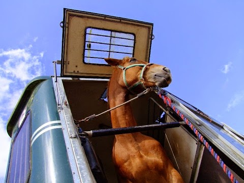 Lucky Meadows Equestrian Centre