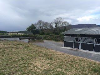 Kilcash Equine Clinic