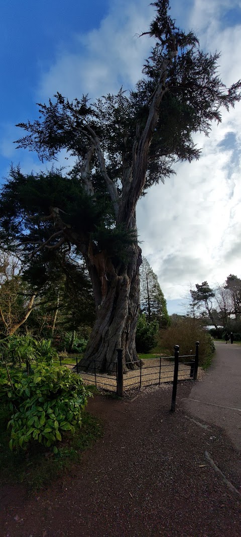 Fota House & Gardens Car Park