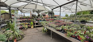 Kiernans Garden Centre