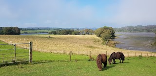 Inish Beg Gardens and Trails