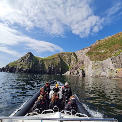 Blasket Island Sea Life Tours