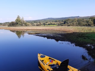 Knockranny Woods