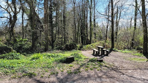 Marlogue Woods Forest Recreational Area