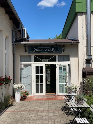 Hotel Dobre z Lasu