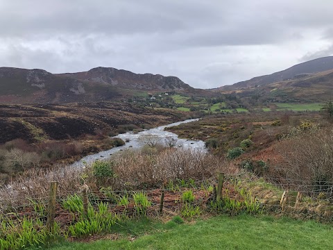 Wild Kerry Day Tours