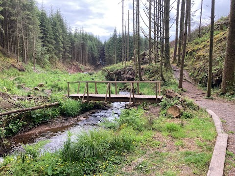 Ballard Waterfall Forest Recreational Area