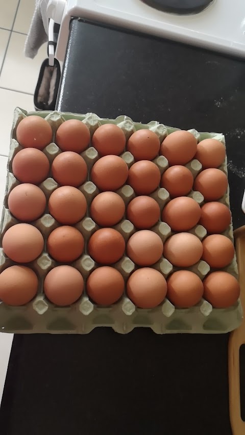 Egan Farm Fresh Free Range Eggs