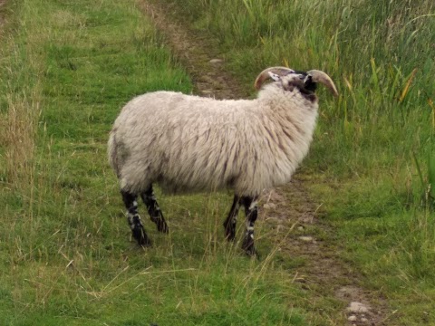 Cloch na Scith B&B