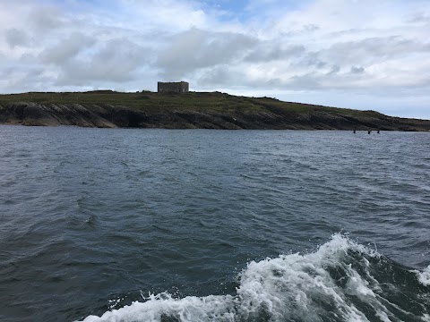 Dolphinwatch Carrigaholt
