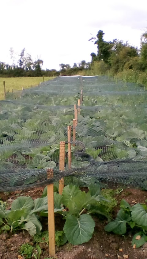 Cuan Mhuire Garden Centre