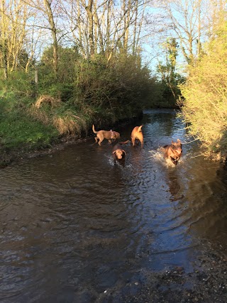 Glendine Boarding Kennels